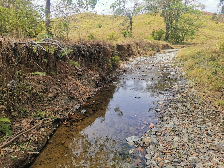 Contaminación por plaguicidas pone en peligro los ríos Chiriquí Viejo, Chagres y Tonosí