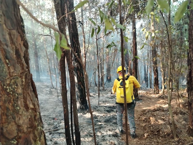 ‘Mano criminal’ en los incendios de La Yeguada y Los Andes; Navarro
