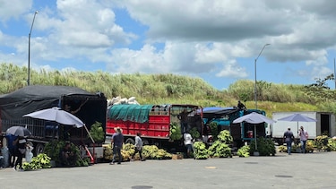 Fletes de productos agrícolas presionados por combustible