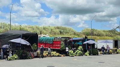 Fletes de productos agrícolas presionados por combustible