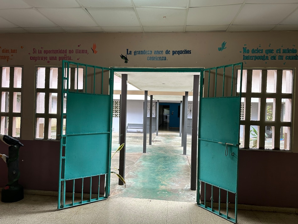 Del dolor al vuelo: la graduación de las mariposas