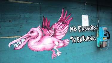 La Palma, capital desamparada