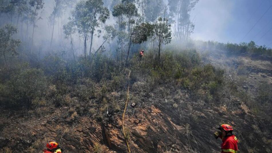 Portugal avanza en control de incendios forestales