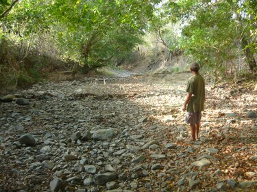Los Santos: El río Estivaná se queda sin agua
