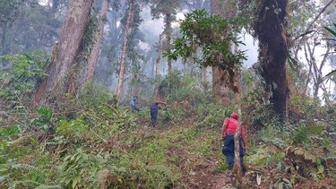 Incendio de masa vegetal en Cerro Punta ingresa al PILA; siguen las labores para controlar el siniestro