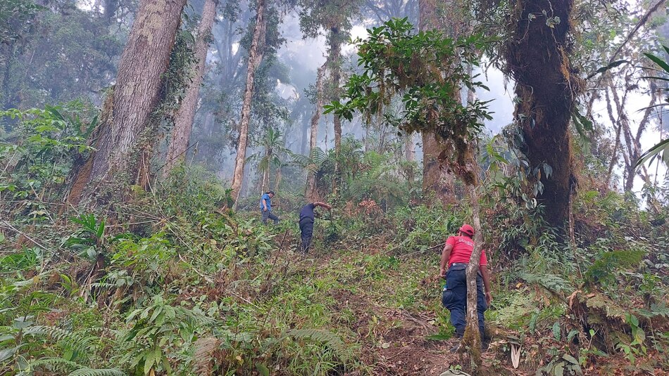 Incendio de masa vegetal en Cerro Punta ingresa al PILA; siguen las labores para controlar el siniestro
