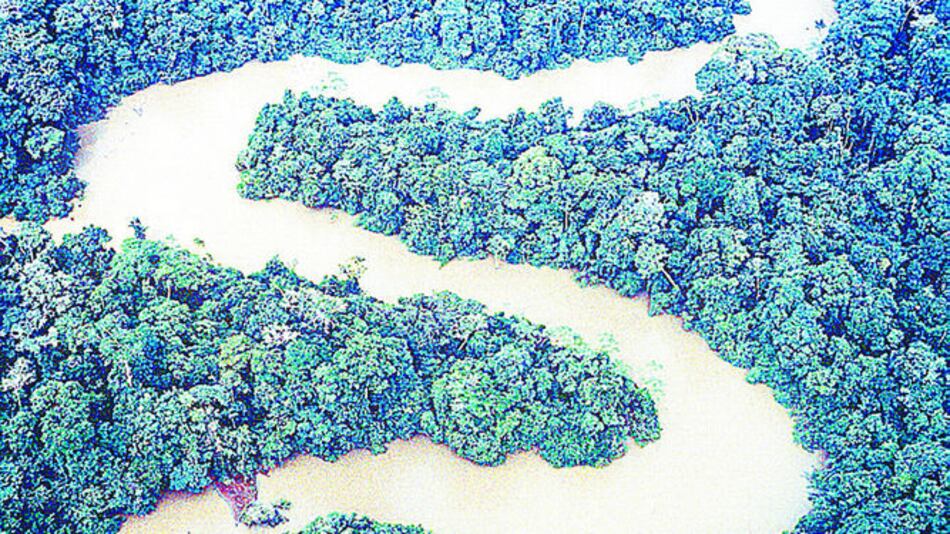 Una Amazonía más seca