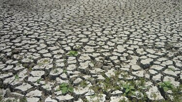 Fenómeno de El Niño podría extenderse hasta octubre