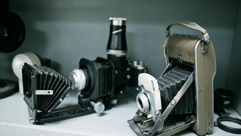 El valor de una colección zoológica