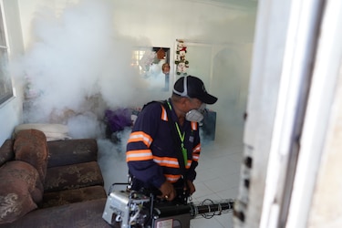 Alerta epidemiológica: Continúa el aumento de casos de dengue en las Américas