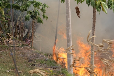 Emiten aviso por posible generación y propagación de incendios en el país
