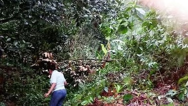 Lluvia causa derrumbe de puente y deslizamiento de tierra en Renacimiento