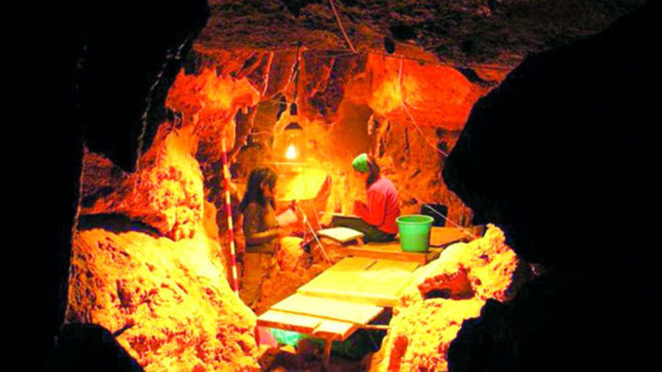 Neandertal usaba ‘aspirina’ para dolor de muelas