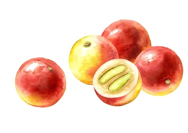 7 frutas que contienen más vitamina C que las naranjas