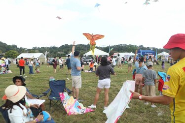 El Festival de Cometas y Panderos celebra 25 años de tradición y color en Panamá