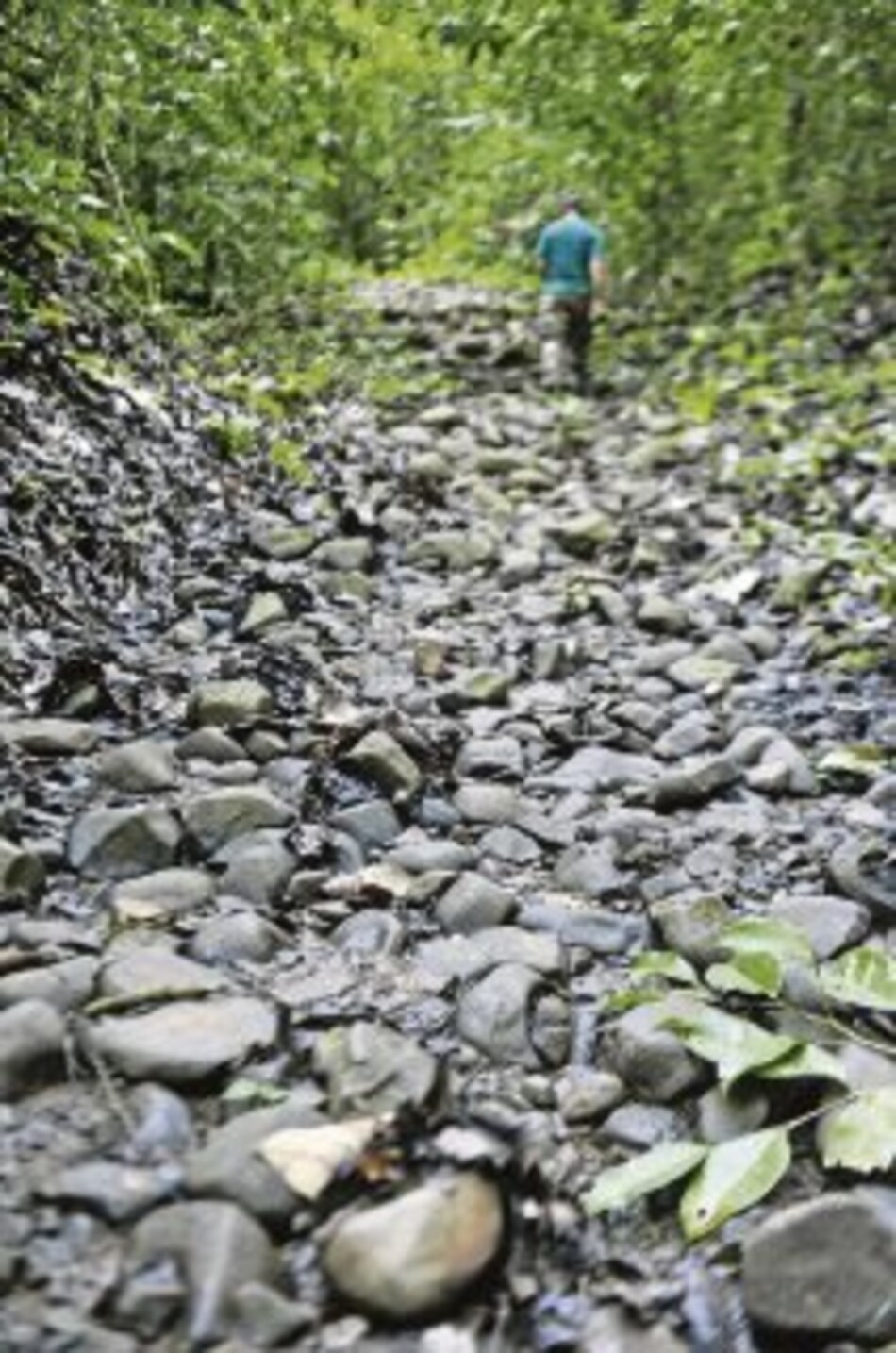 Un viaje por la historia colonial