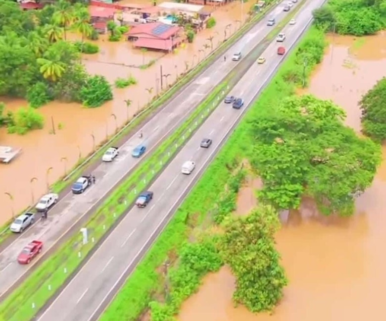 Evalúan pérdidas en producción de arroz, maíz y ganadería por las inundaciones
