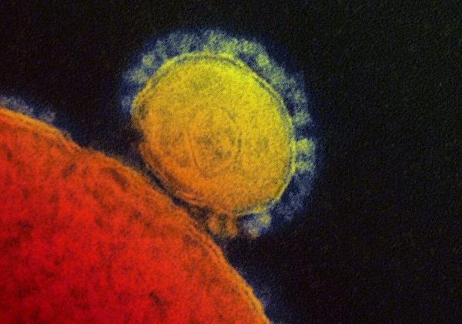 OMS dice que letal virus MERS no constituye una emergencia global