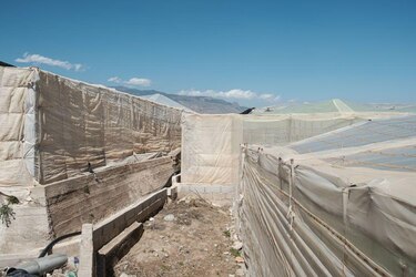 El controvertido ‘Mar de Plástico’ que convirtió la región más árida de España en la huerta de Europa