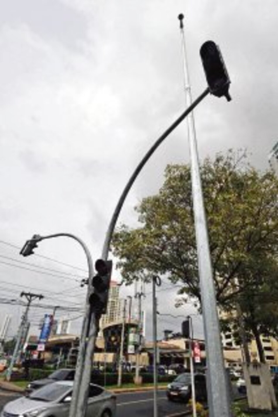 Reactivan contrato con Traffic Safety