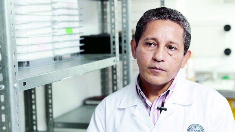 El mosquito ‘amigable’ de Oxitec ha sido efectivo