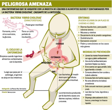 Salud, dispuesta para enfrentar el cólera