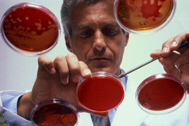 Hallan una molécula que obliga a las células cancerígenas a suicidarse