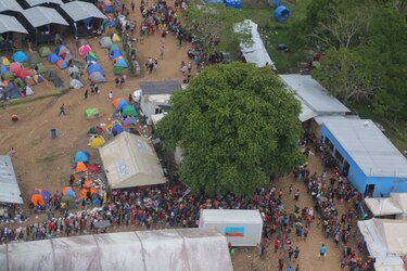 OPS reforzará el registro de datos de migrantes que pasan por Darién