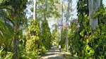 Una selva de arte