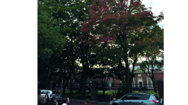 Boston, la ‘Nueva Inglaterra’