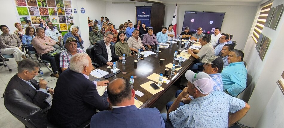 Corrigen registro erróneo de importación de arroz tras inquietud del gremio