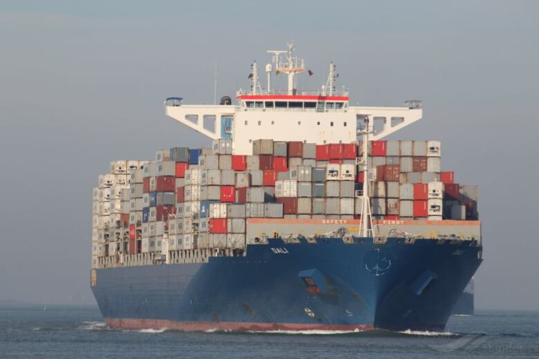 El ‘Dali’ perdió propulsión antes de colisionar con el puente en Baltimore, según informe