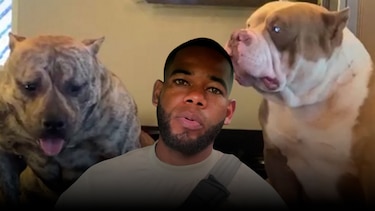 Muerte de dos perros en Colón: el relato del dueño, la versión policial y las dudas