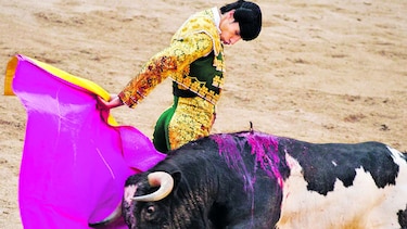 Tauromaquia, en debate