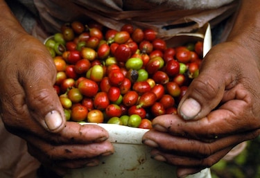 El déficit comercial de Honduras disminuyó 12% en primer semestre