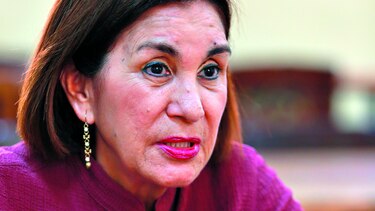 Extranjeros buscan educarse