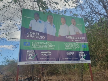 Tribunal Electoral remueve propaganda política