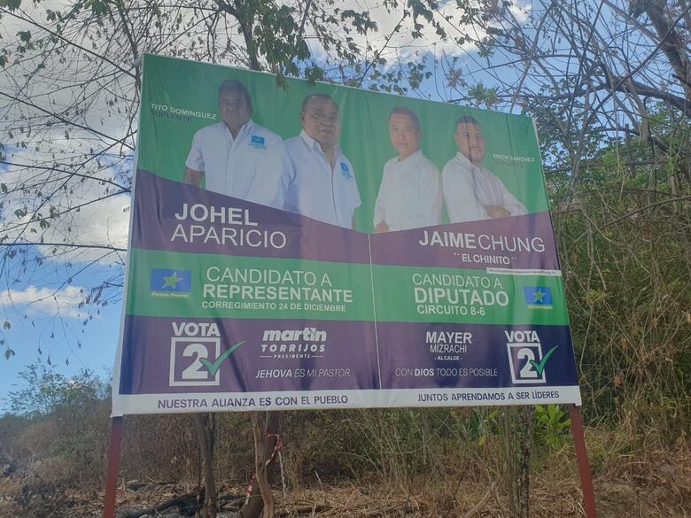 Tribunal Electoral remueve propaganda política