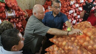 Llegan los primeros 44 mil quintales de cebolla importada