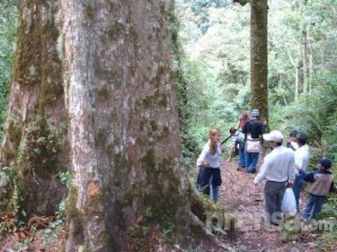 Científicos, en alerta por construcción de vía Chiriquí-Bocas
