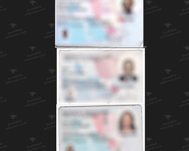 La UAF suspende sus plataformas, luego que un hacker exhibiera documentos obtenidos en un presunto ciberataque
