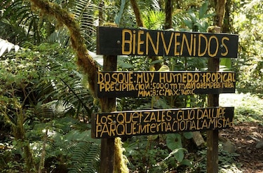 Unesco evaluará estado del parque La Amistad