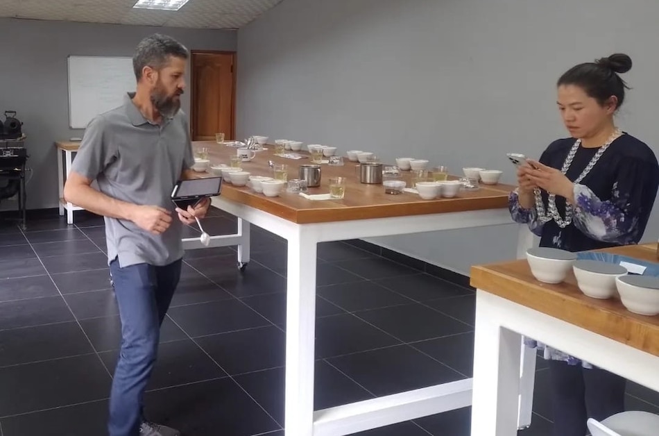 Caficultores preparan sus lotes para el Best of Panamá