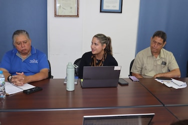 Veda del caracol marino en Panamá: qué se analiza y qué podría cambiar en 2026