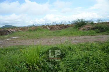 Hospital modular: nuevos hallazgos en Isla Perico