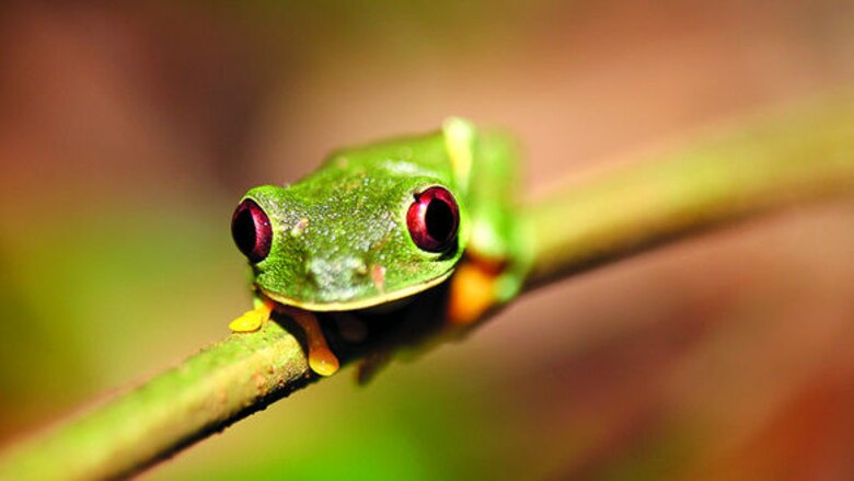 Un paraíso de biodiversidad