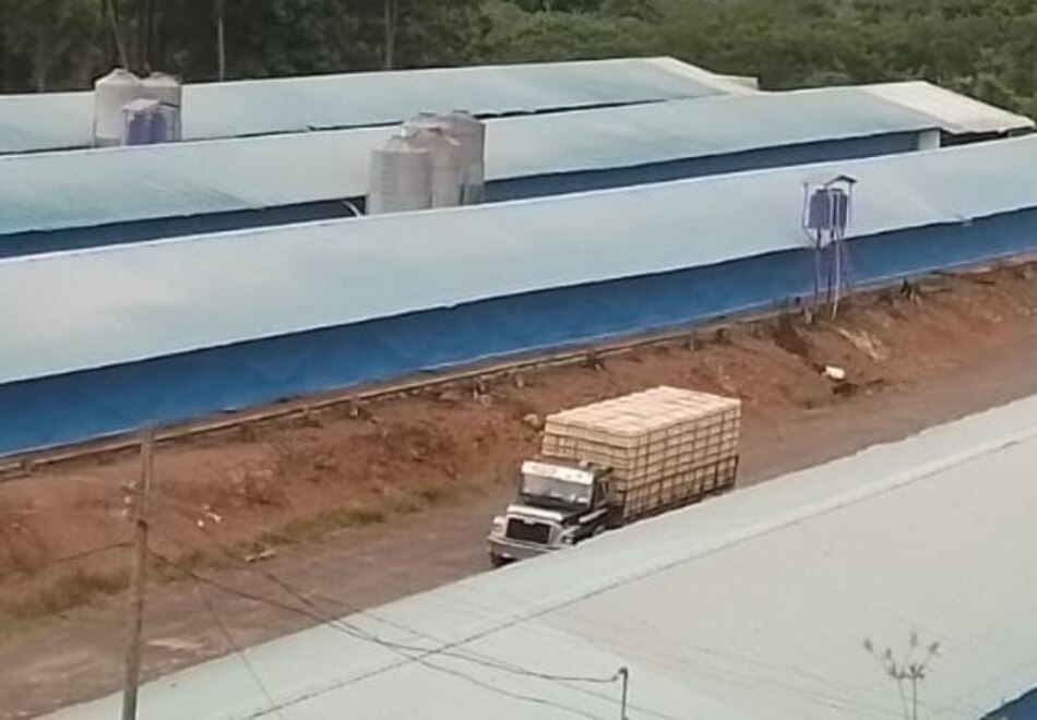 Cadena de producción y abastecimiento avícola y de leche, en riesgo por tranques