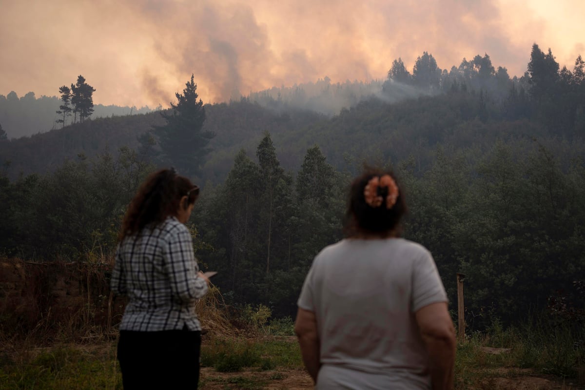 Suben a 20 las víctimas de los incendios del sur de Chile y detienen a ...