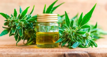 La 'diosa verde', una pizza con aceite de cannabis