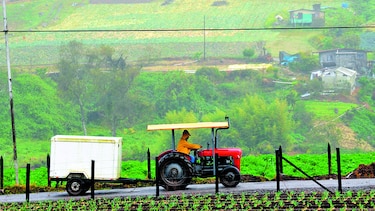 Sectores proponen salvar el agro